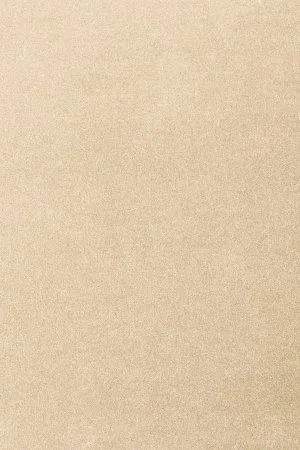 Ковровое покрытие AW Oinone 34 - (5м) в Ульяновске