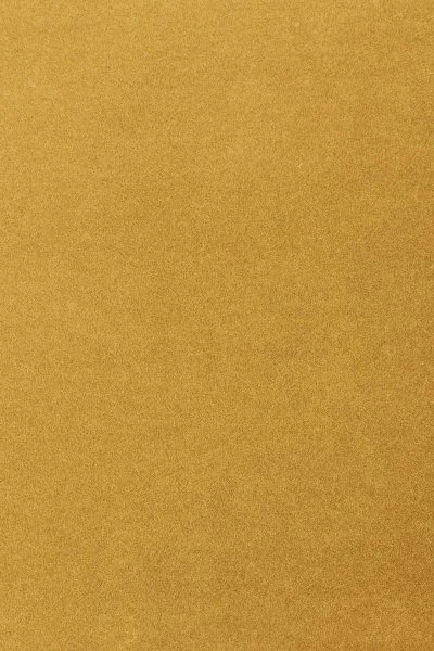 Ковровое покрытие AW Oinone 54 - (5м) в Ульяновске