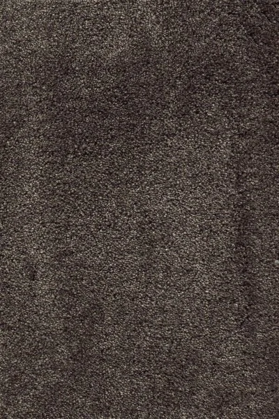 Ковровое покрытие AW Fedone 44 - (5м) в Ульяновске