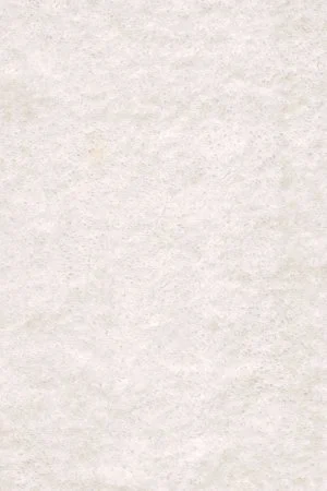 Ковровое покрытие AW Euphoria 03 - (4м) в Ульяновске