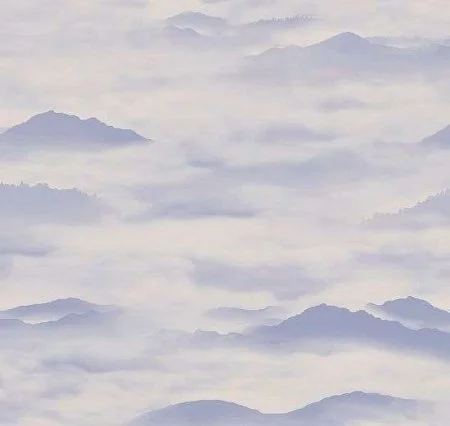 Обои Loymina Clair CLR4, 006 в Ульяновске