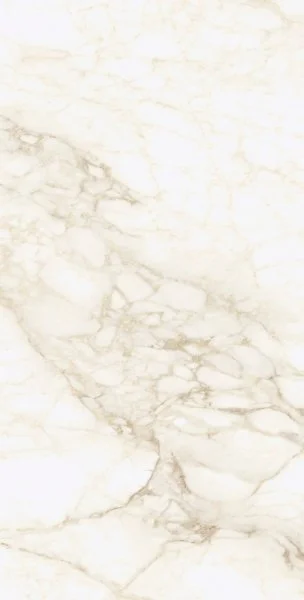 Керамогранит Coliseum Микеланджело Ворм 60х120 (Натуральный и Реттифицированный) в Ульяновске