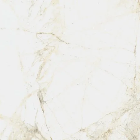 Керамогранит Coliseum Канова Уайт 60х60 (Натуральный и Реттифицированный) в Ульяновске