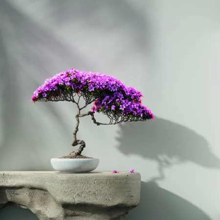 Обои Loymina Lotus LOT1 112 в Ульяновске