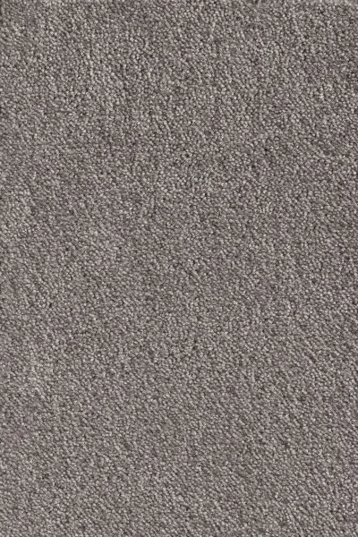 Ковровое покрытие AW Messalina 49 - (5м) в Ульяновске