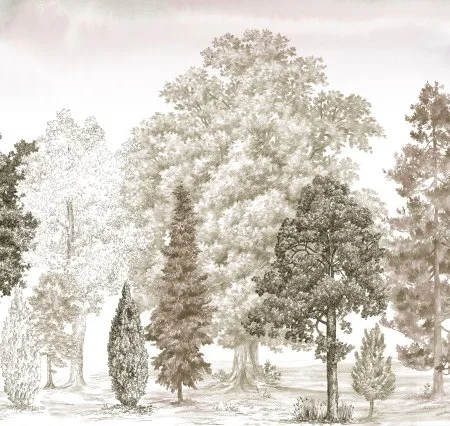 Обои Loymina Пейзаж vol. 2 ART14 012 в Ульяновске