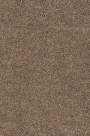 Ковровое покрытие AW Euphoria 36 - (5м) в Ульяновске