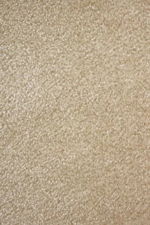 Ковровое покрытие AW Euphoria 33 - (4м) в Ульяновске