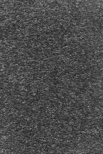 Ковровое покрытие AW Omnia 97 - (4м) в Ульяновске