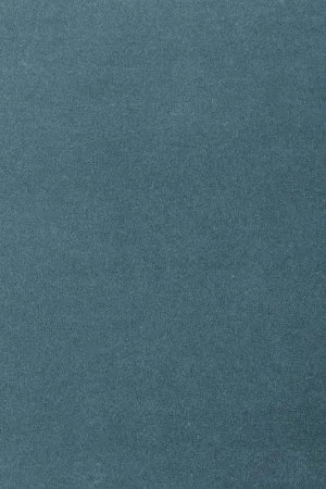 Ковровое покрытие AW Oinone 74 - (4м) в Ульяновске