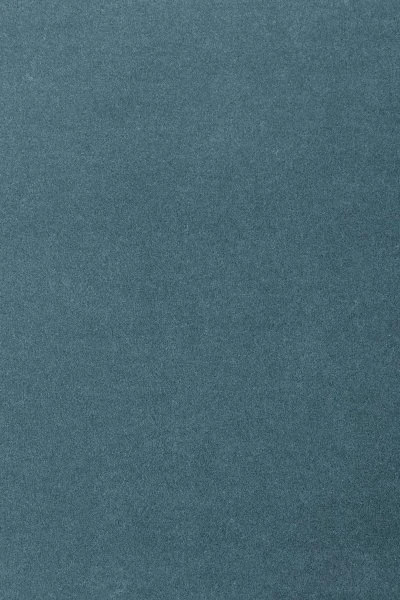 Ковровое покрытие AW Oinone 74 - (5м) в Ульяновске