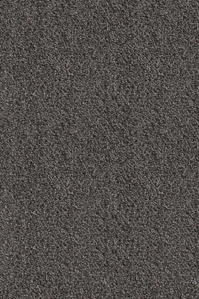 Ковровое покрытие AW Messalina 99 - (5м) в Ульяновске