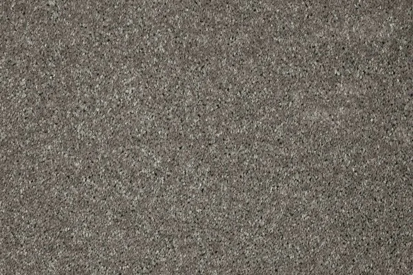 Ковровое покрытие AW Gala 94 - (5м) в Ульяновске