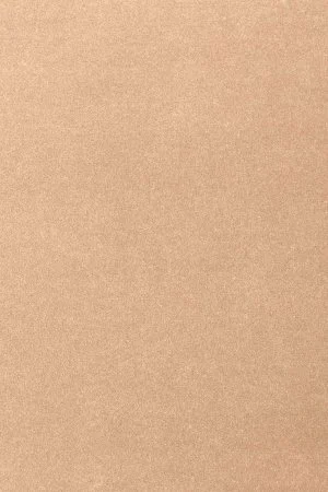 Ковровое покрытие AW Oinone 08 - (4м) в Ульяновске