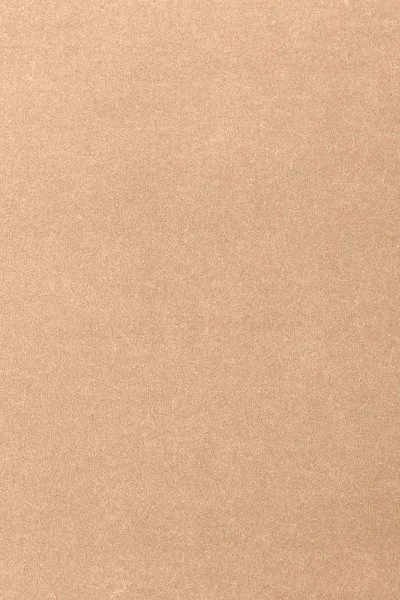 Ковровое покрытие AW Oinone 08 - (4м) в Ульяновске