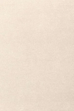 Ковровое покрытие AW Oinone 03 - (4м) в Ульяновске