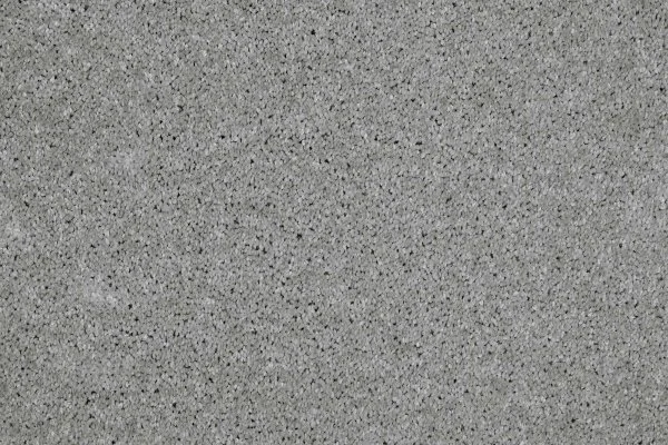 Ковровое покрытие AW Gala 90 - (4м) в Ульяновске