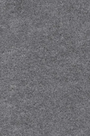 Ковровое покрытие AW Euphoria 95 - (5м) в Ульяновске