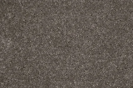 Ковровое покрытие AW Gala 49 - (4м) в Ульяновске