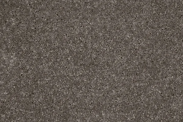 Ковровое покрытие AW Gala 49 - (4м) в Ульяновске