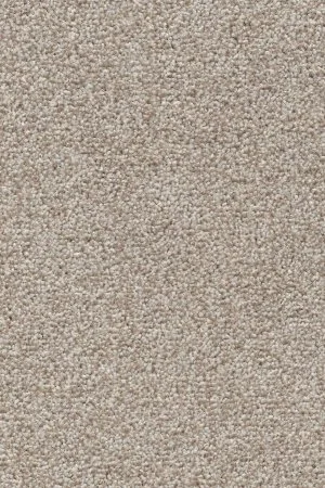 Ковровое покрытие AW Stainguard Harvest 04 - (4м) в Ульяновске