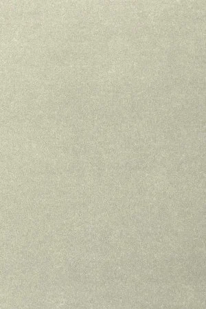 Ковровое покрытие AW Oinone 02 - (5м) в Ульяновске