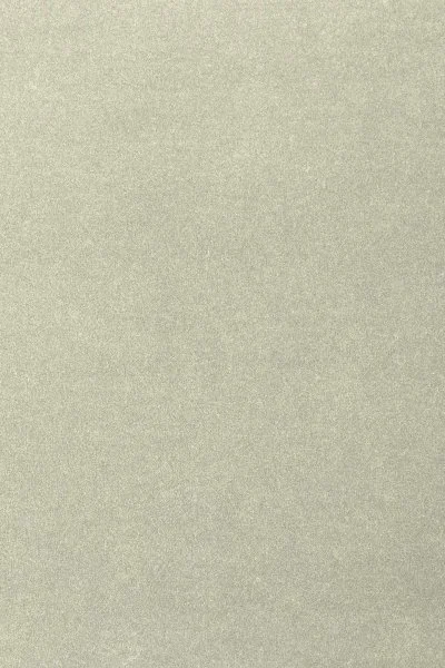 Ковровое покрытие AW Oinone 02 - (4м) в Ульяновске