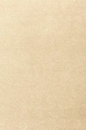 Ковровое покрытие AW Oinone 33 - (5м) в Ульяновске