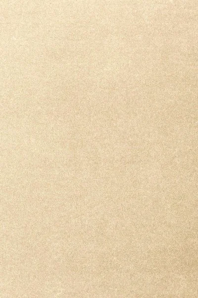 Ковровое покрытие AW Oinone 33 - (4м) в Ульяновске