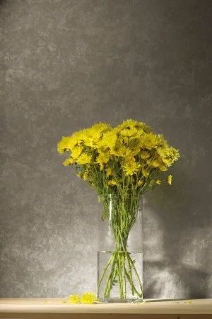 Обои Loymina Golden Library TDG 7, 008 в Ульяновске