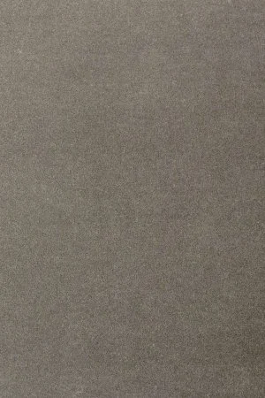 Ковровое покрытие AW Oinone 95 - (5м) в Ульяновске