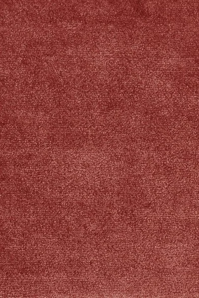 Ковровое покрытие AW Omphale 10 - (5м) в Ульяновске