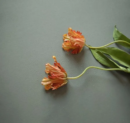 Обои Loymina Russian Classic Ru10, 006 в Ульяновске