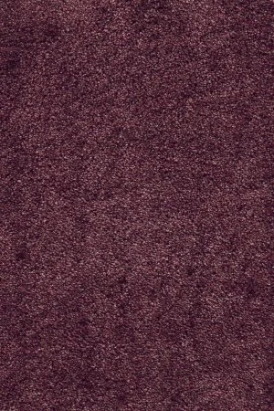 Ковровое покрытие AW Fedone 19 - (5м) в Ульяновске