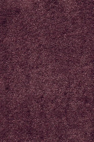 Ковровое покрытие AW Fedone 19 - (5м) в Ульяновске