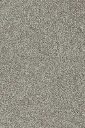 Ковровое покрытие AW Messalina 9 - (5м) в Ульяновске