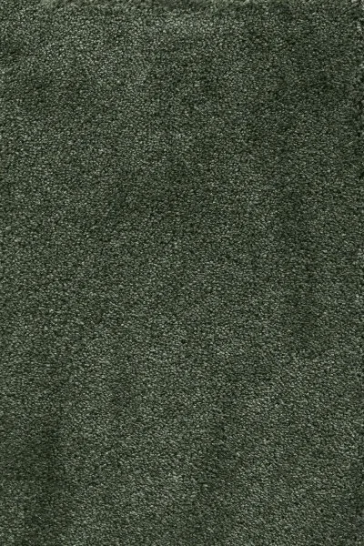 Ковровое покрытие AW Fedone 24 - (5м) в Ульяновске