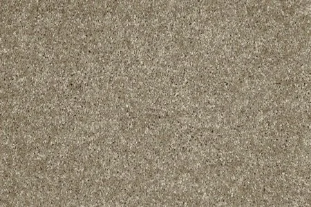 Ковровое покрытие AW Gala 33 - (5м) в Ульяновске