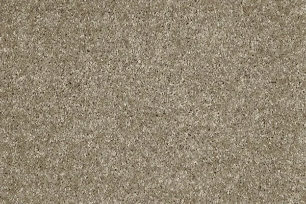 Ковровое покрытие AW Gala 33 - (4м) в Ульяновске