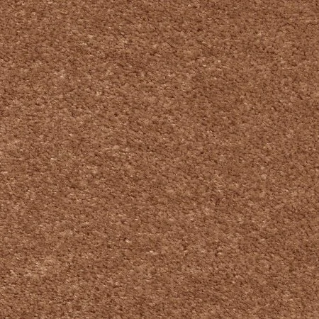 Ковровое покрытие AW Euphoria 84 - (5м) в Ульяновске