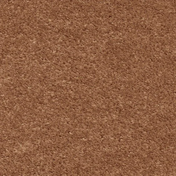 Ковровое покрытие AW Euphoria 84 - (5м) в Ульяновске