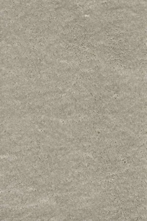 Ковровое покрытие AW Fedone 90 - (5м) в Ульяновске