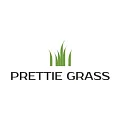 Искусственная трава Prettie Grass купить в Ульяновске по выгодной цене Искусственная трава Prettie Grass в Ульяновске