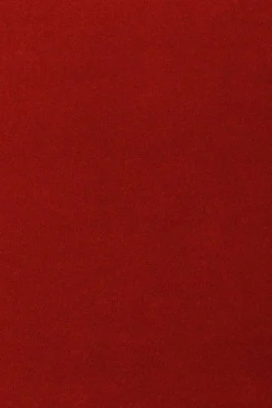 Ковровое покрытие AW Oinone 10 - (4м) в Ульяновске