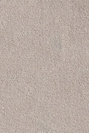 Ковровое покрытие AW Messalina 37 - (5м) в Ульяновске