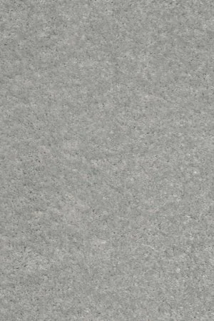 Ковровое покрытие AW Euphoria 92 - (5м) в Ульяновске