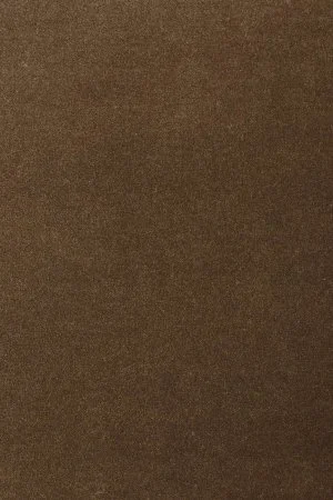 Ковровое покрытие AW Oinone 44 - (5м) в Ульяновске