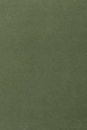 Ковровое покрытие AW Oinone 24 - (5м) в Ульяновске