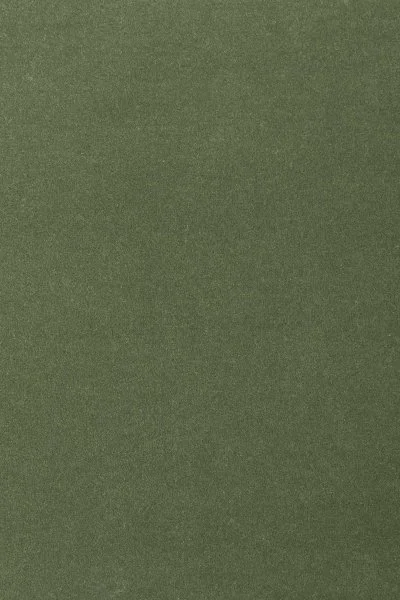 Ковровое покрытие AW Oinone 24 - (4м) в Ульяновске