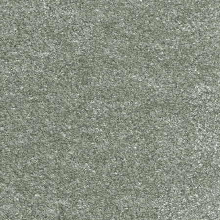 Ковровое покрытие AW Euphoria 28 - (5м) в Ульяновске